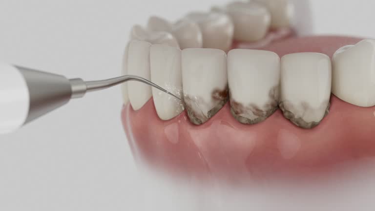 Reliable Dental contractor in Warrensburg, MO by Dentist Open Now